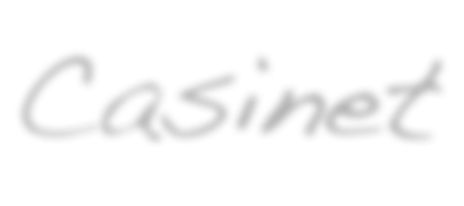 CASINET 1